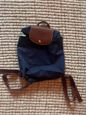 Longchamp Brown & Navy Nylon Backpack - Classic Men's Daypack